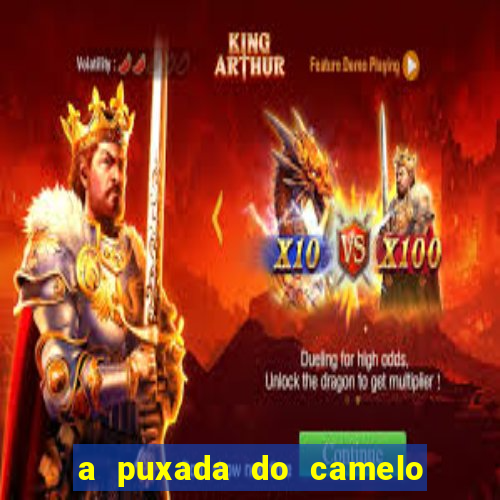 a puxada do camelo no jogo do bicho